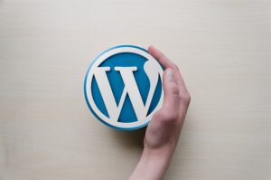 instal wordpress to build an online business